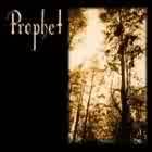 Fragile Hollow : Miles Away